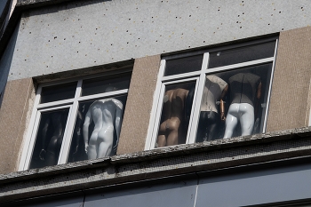 From the life of the dummies / ***