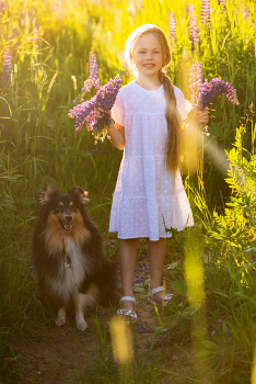 Zhary evening / ***