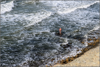Man and the Sea. / ***