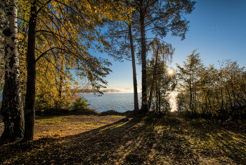 Morning on the lake / ***