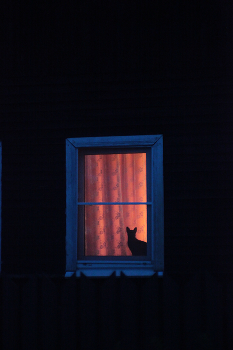 neighbor / ***