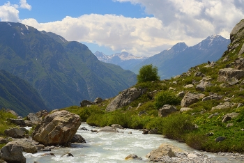 Summer in the mountains / ***