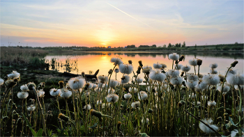 Encountering dawn / ***