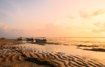 gentle morning / ***