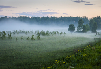 In the fog ... / ***