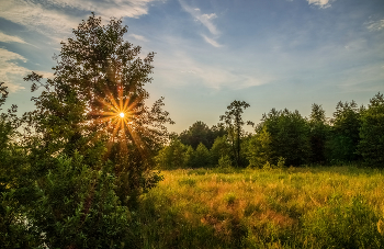 July evening / ***