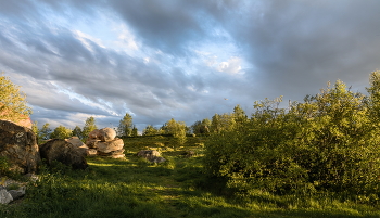 Warm evening / ***