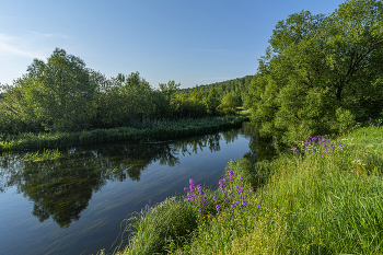 In the countryside / ***