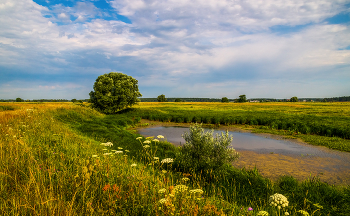 July morning / ***