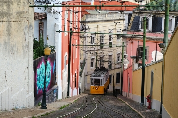 yellow tram / ***