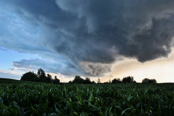 The storm is coming / ***