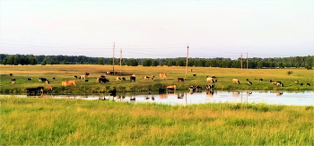 pastoral village / ***