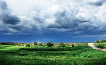 to the rain ... / ***