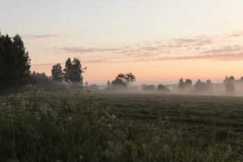 June Dawn / ***