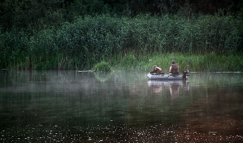 Fishing stories / ***