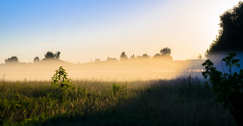 Morning fog. / ***