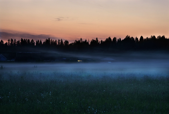 night fog / ***