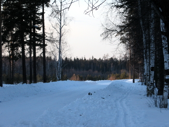Winter road / ***
