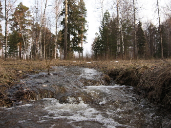 Creek / ***