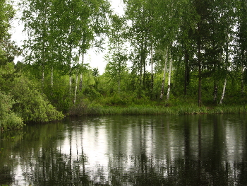 Village pond / ***