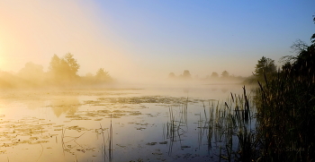 Fog at dawn. / ***