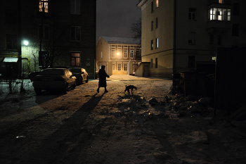 Walk with a dog / ***