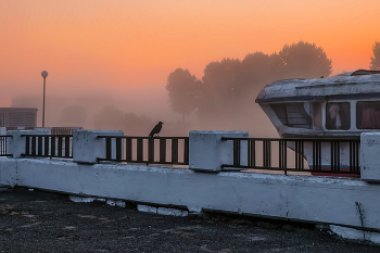 Morning on the waterfront / ***