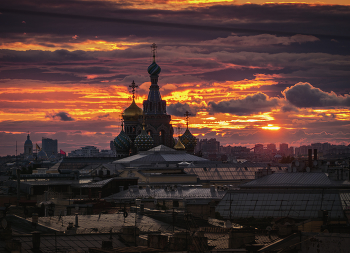 Savior on Spilled Blood / ***