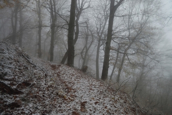 Snowstorm / ***