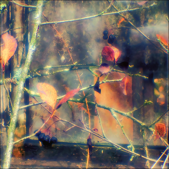 &nbsp; / [img]https://i.postimg.cc/ZnTMYwTV/DSC03102.jpg[/img]
