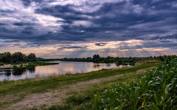 Summer evening. / ***