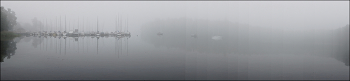 At dawn / ***