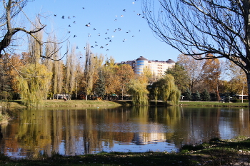 Lake in the park / ***