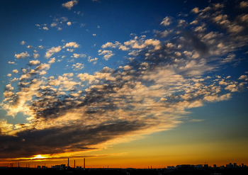 Morning / ***