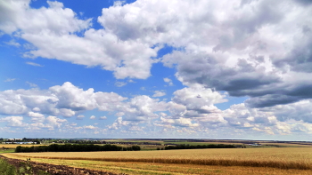 Fields ... / ***