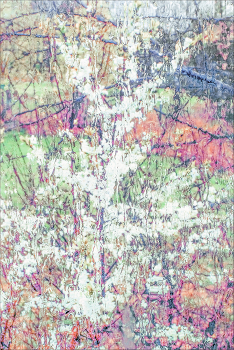 rain outside the window / [img]https://i.postimg.cc/TYy06vmR/1-psd.jpg[/img]
