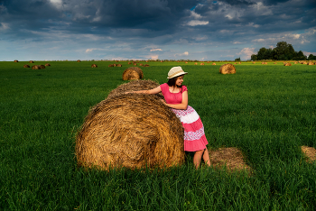 Rolls field / ***