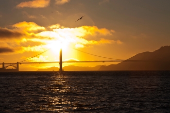 Golden Gate... / ***