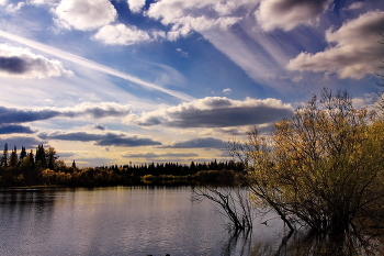 Spring evening. / ***