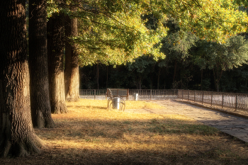 Summer evening. / ***