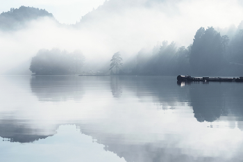 weightlessness / ***