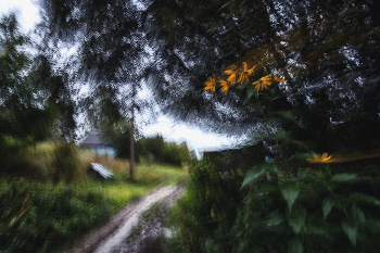 Life around / ***