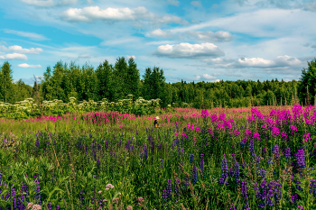 On the far station will come down ... / ***