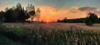 Summer Sunset / ***