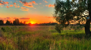 Summer Sunset / ***