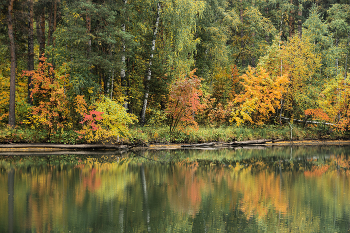 The palette of autumn / ***