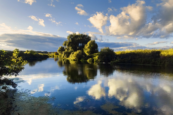 Autumn reflections / ***