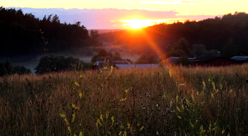 Landscape. / ***