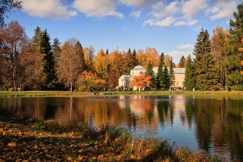 Autumn in Pavlovsk / ***