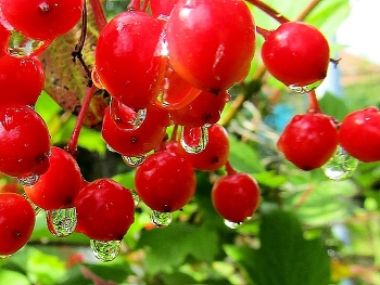 drop. / ***
